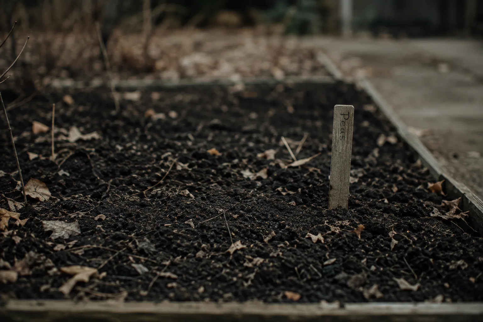 A garden bed in late autumn, soil recently turned, one stake marking a planting